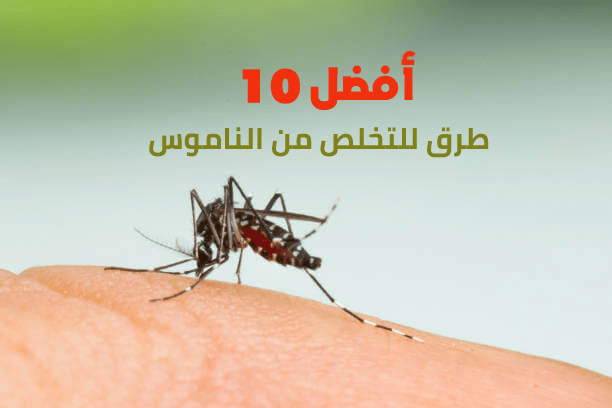 أفضل 10 طرق للتخلص من الناموس