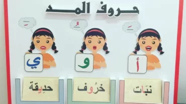 قناة تعليمية بدون اظهار الوجه