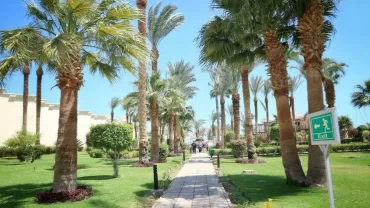 حديقة الفسطاط / Fustat Park