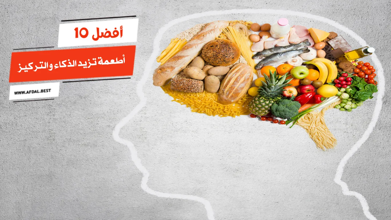 أفضل 10 أطعمة تزيد الذكاء والتركيز