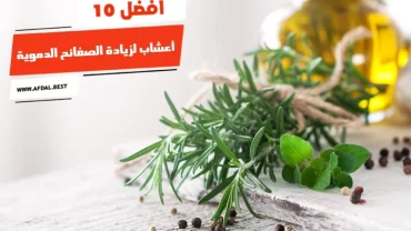 أفضل 10 أعشاب لزيادة الصفائح الدموية