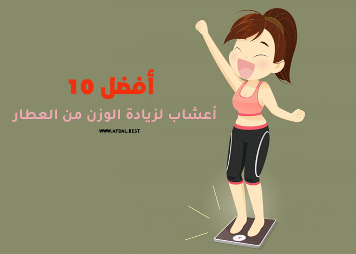 أفضل 10 أعشاب لزيادة الوزن من العطار