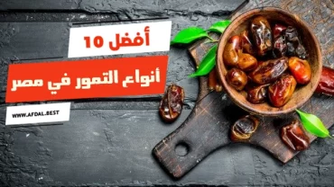 أفضل 10 أنواع التمور في مصر