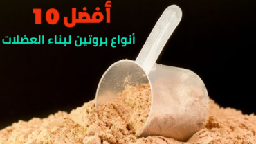 أفضل 10 أنواع بروتين لبناء العضلات