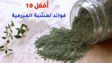 أفضل 10 فوائد لعشبة الميرمية