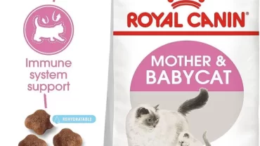 دراي فود رويال كانين / Royal canine dry food