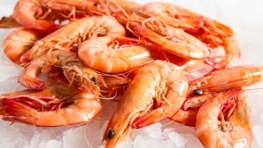 سمك الجمبري/Shrimp